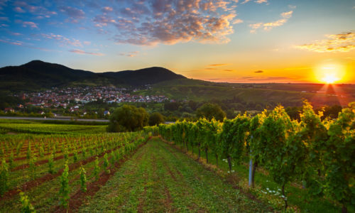 Wachau